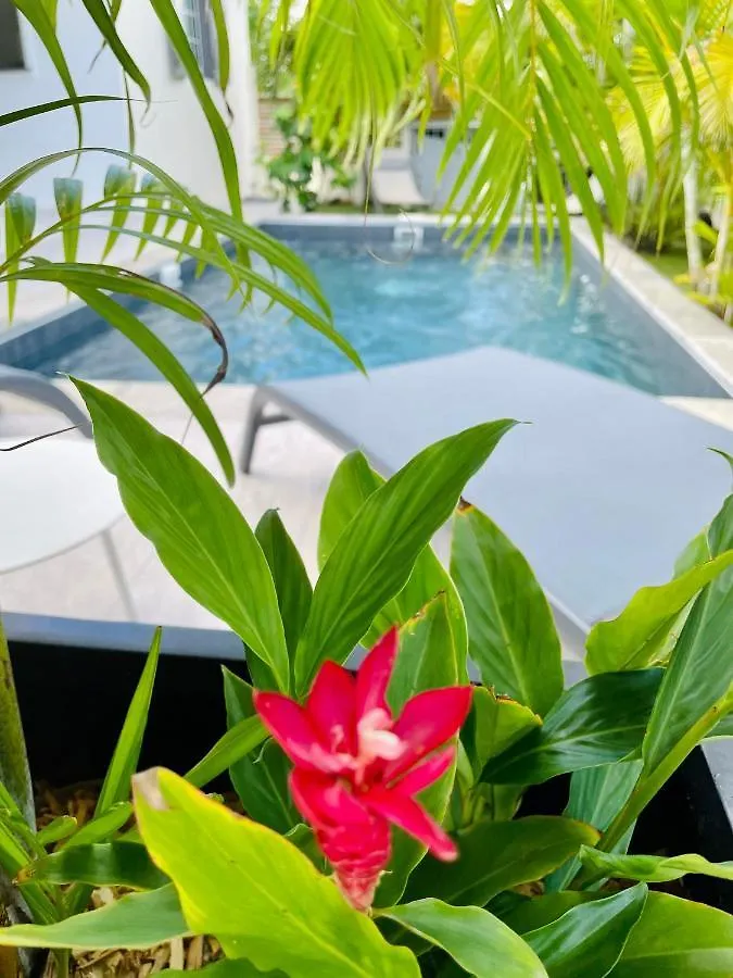 Villa Tropical Paradise Avec Piscine, 4 Chambres Le Moule